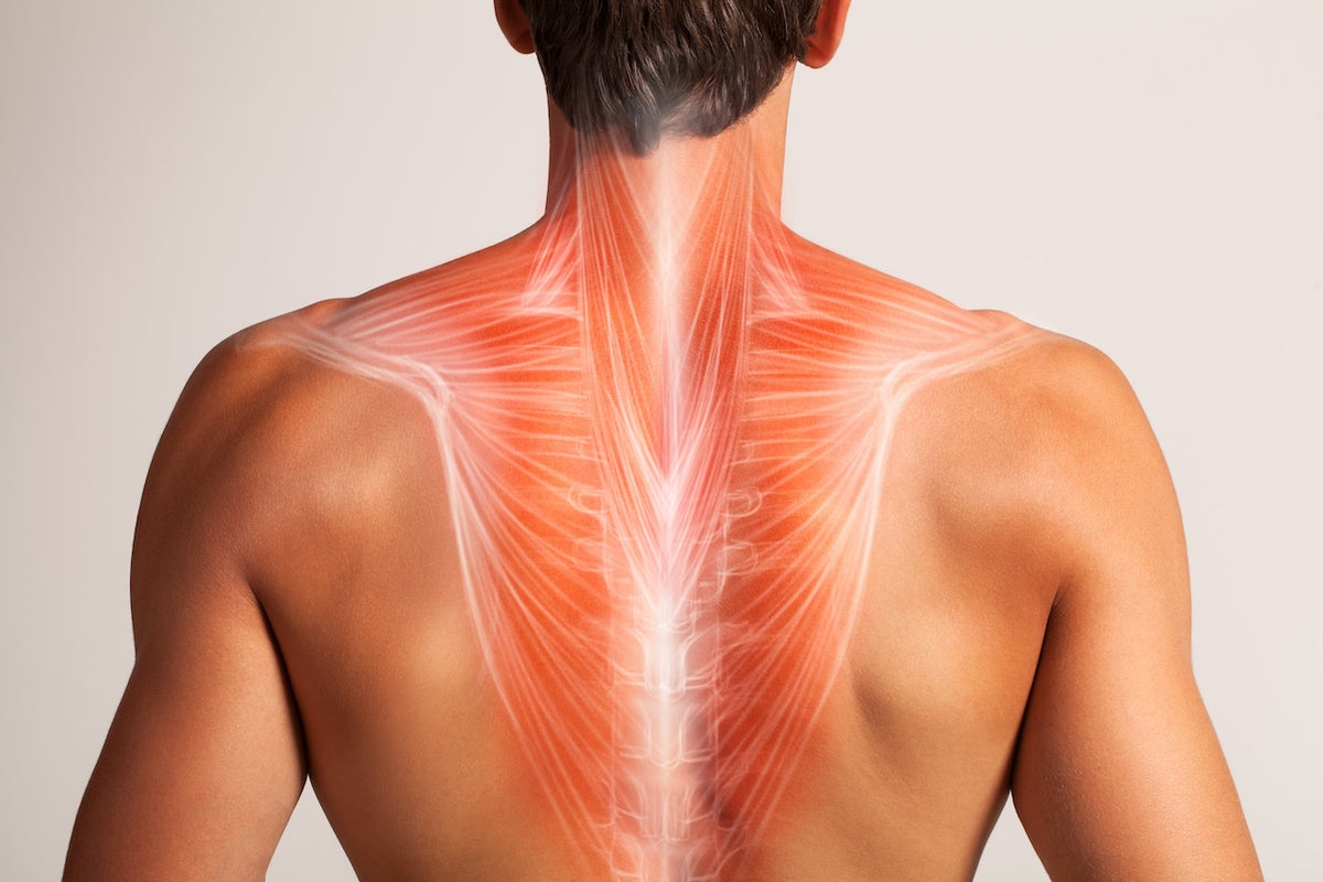 Tips For How To Relieve Upper Back Pain Svago