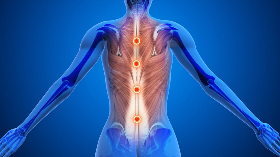 10 Back Pressure Points You Should Know for Stress Relief